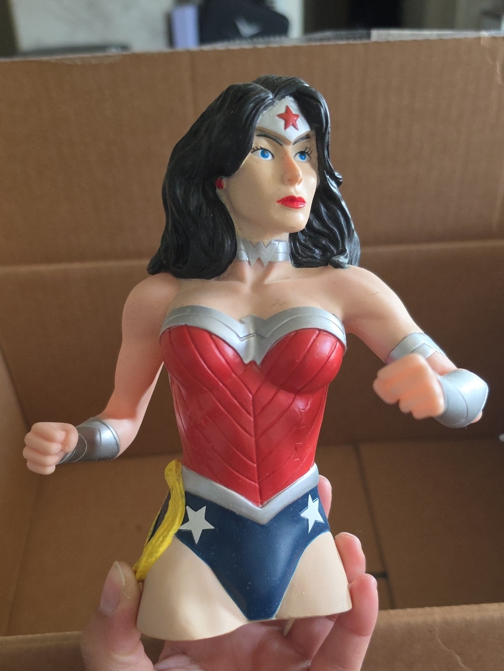 Wonder Woman Coin Bank